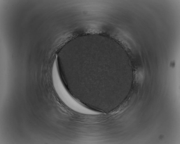 X0000096980517200802151333