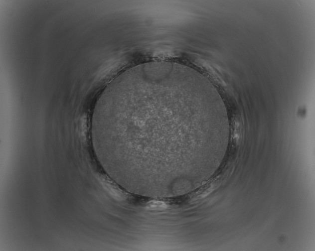 X0000096980519200802151333