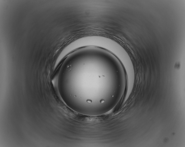 X0000096980520200802151333