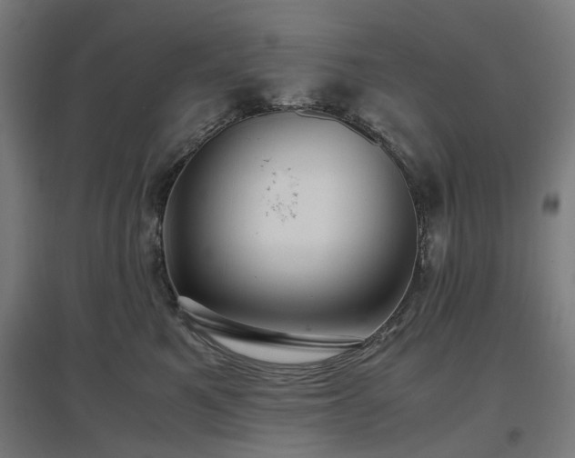 X0000096980521200802151333