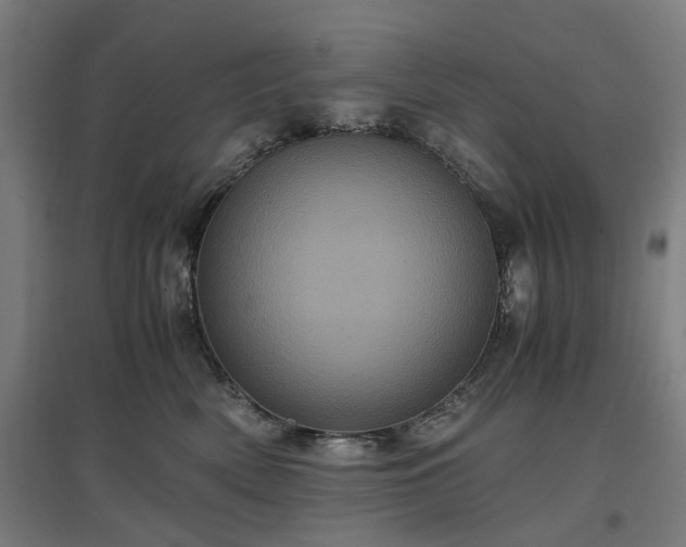 X0000096980522200802151333