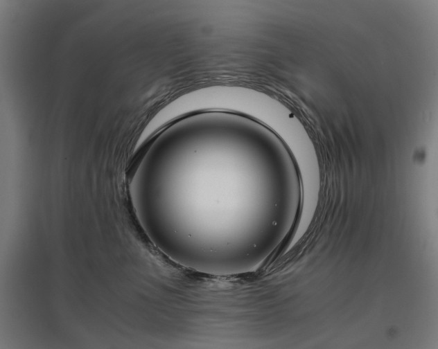 X0000096980523200802151333