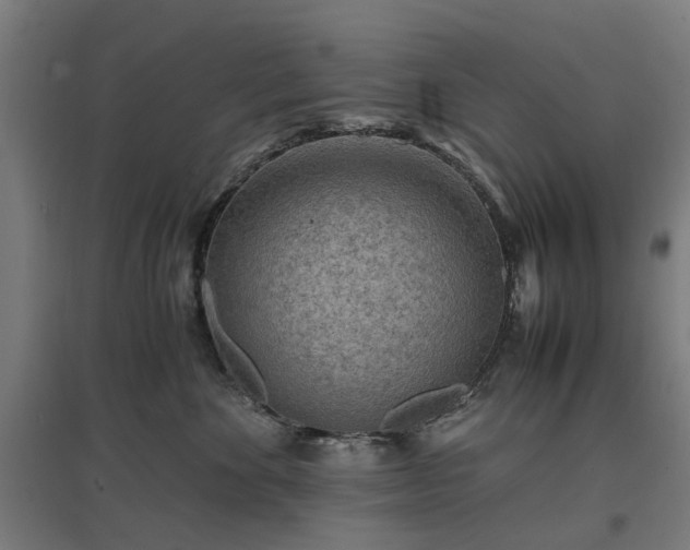 X0000096980524200802151333