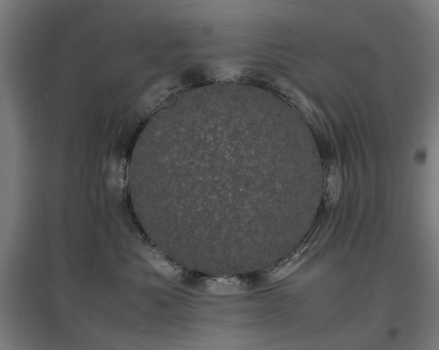 X0000096980525200802151333