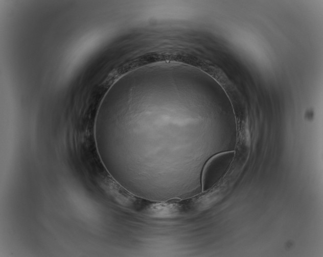 X0000096980526200802151333