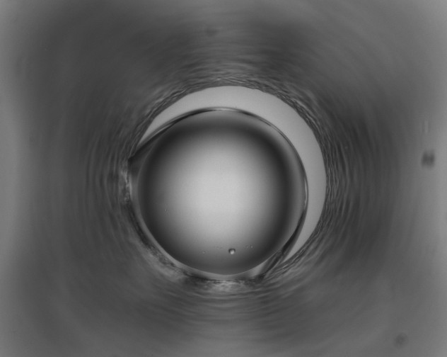 X0000096980527200802151333