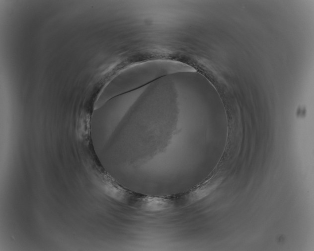 X0000096980528200802151333