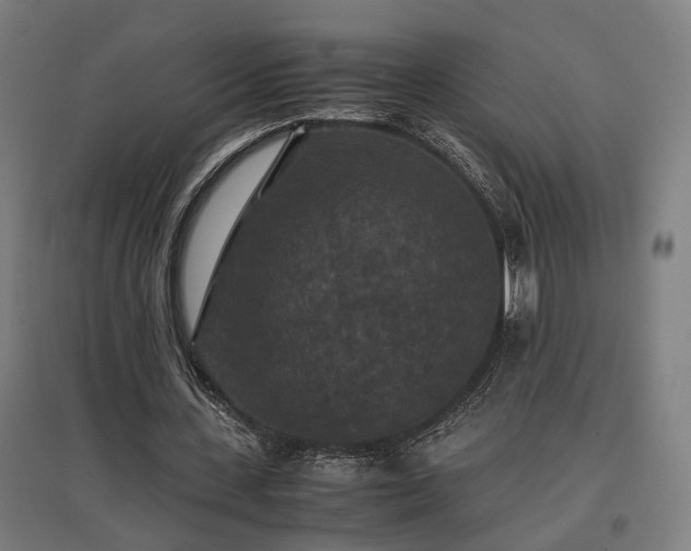 X0000096980531200802151332