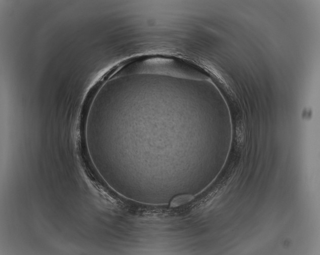 X0000096980532200802151332