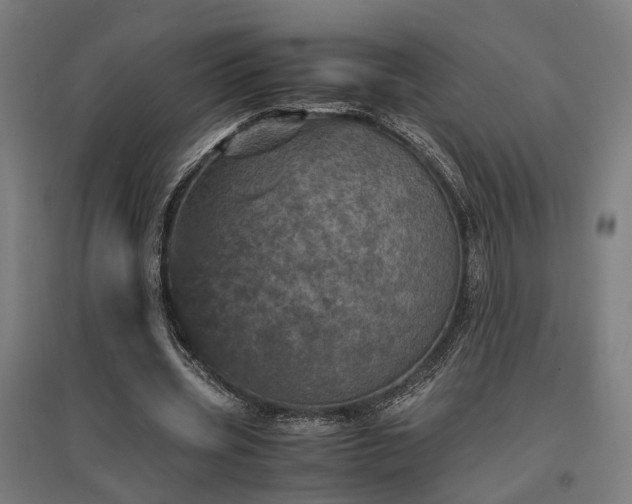 X0000096980533200802151332