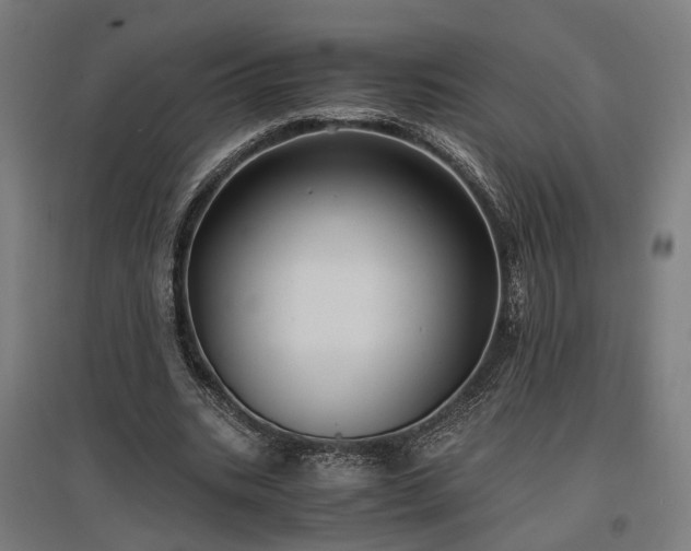 X0000096980535200802151332