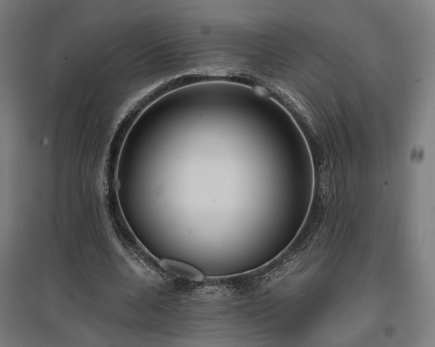 X0000096980536200802151332