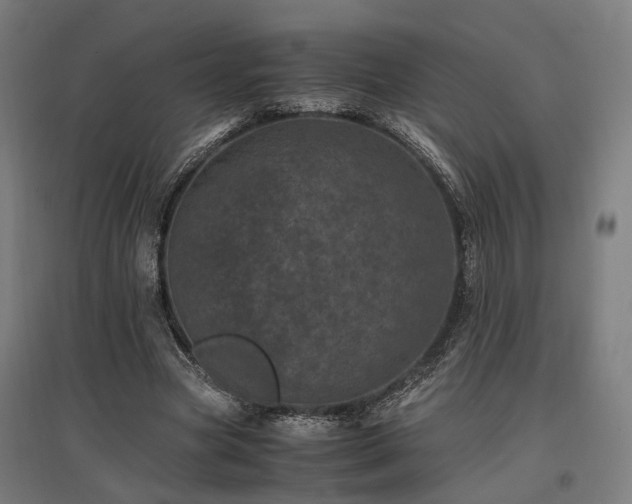 X0000096980537200802151332