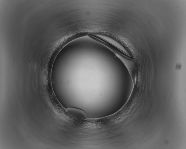 X0000096980540200802151332