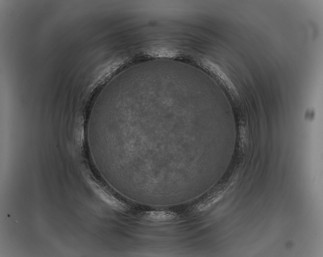 X0000096980541200802151332