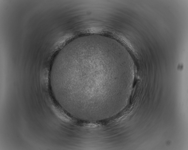 X0000096980542200802151332