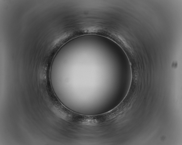 X0000096980543200802151333