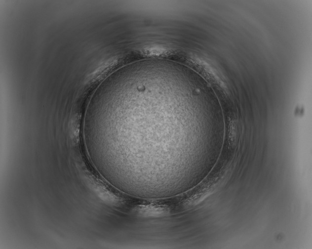 X0000096980545200802151333