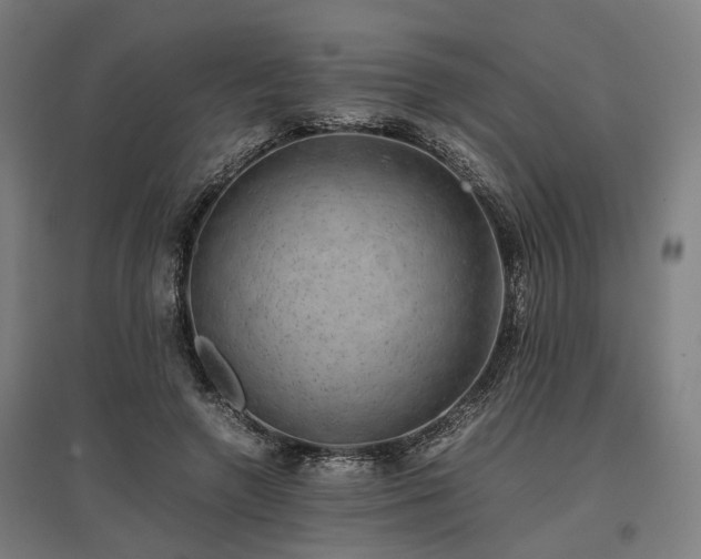 X0000096980546200802151333