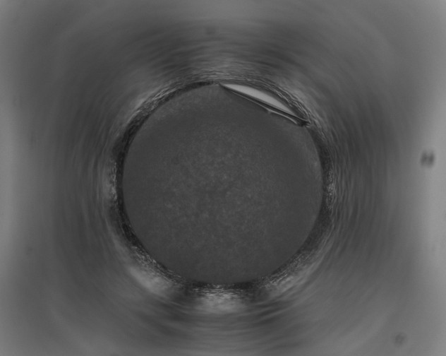 X0000096980547200802151333