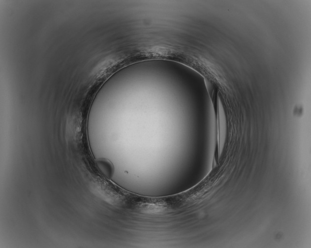 X0000096980548200802151333