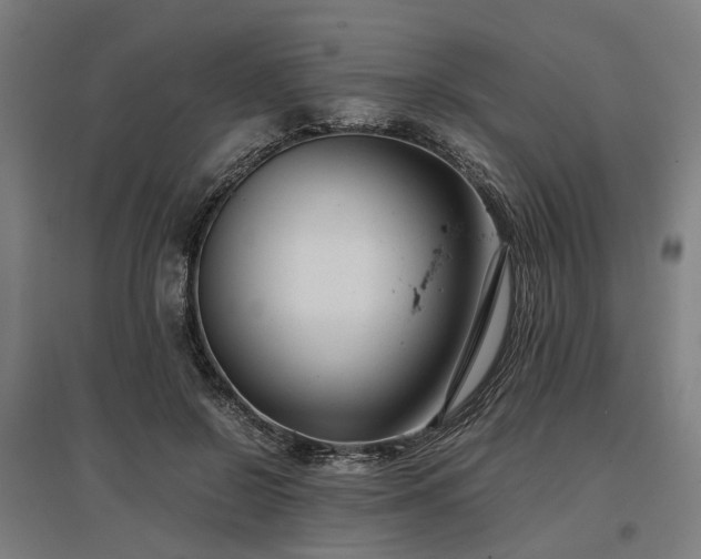 X0000096980550200802151333