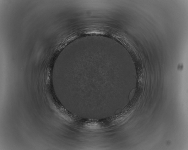 X0000096980551200802151333