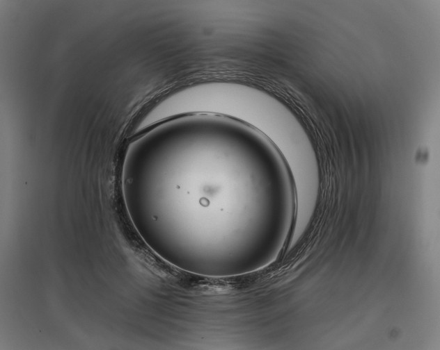 X0000096980552200802151333