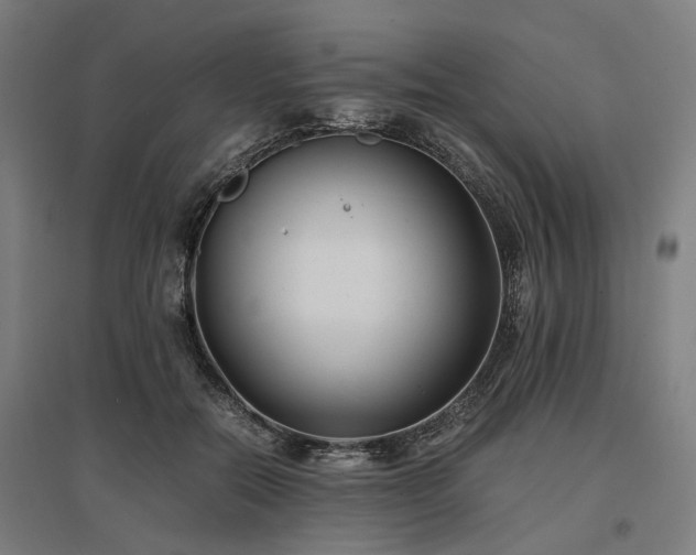 X0000096980554200802151333