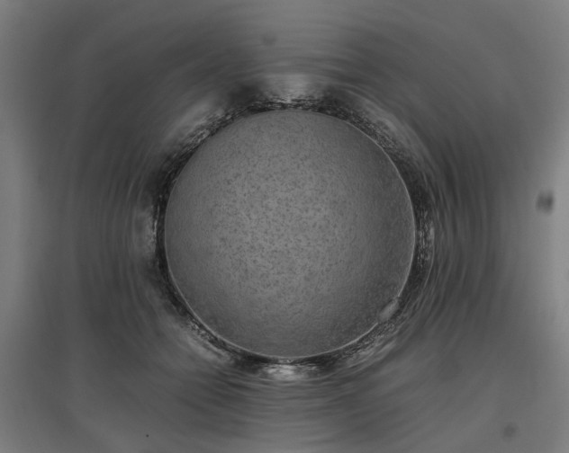 X0000096980558200802151333