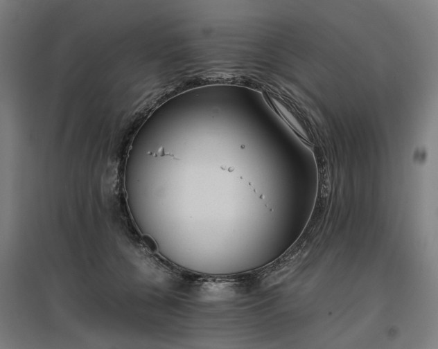 X0000096980560200802151333