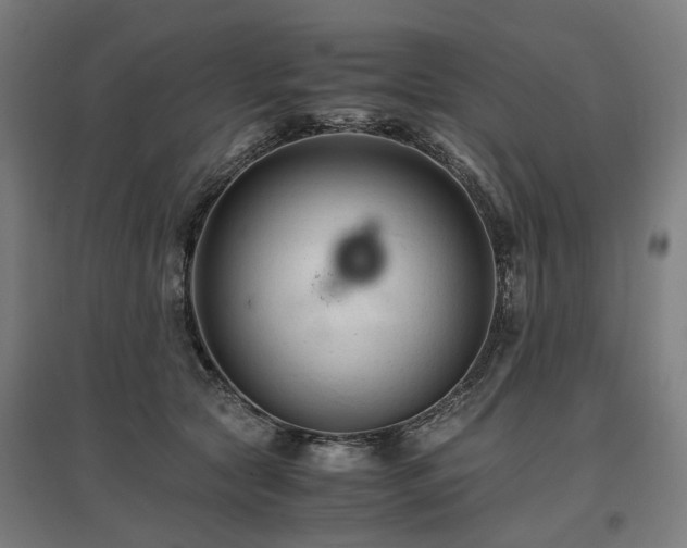 X0000096980561200802151333