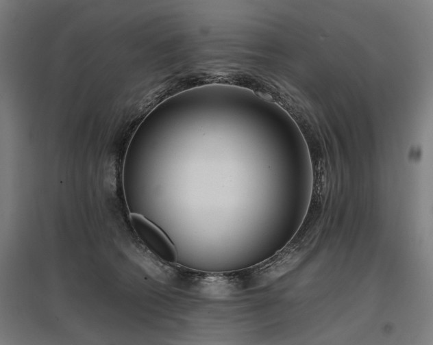 X0000096980562200802151333