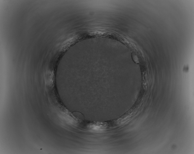 X0000096980563200802151333