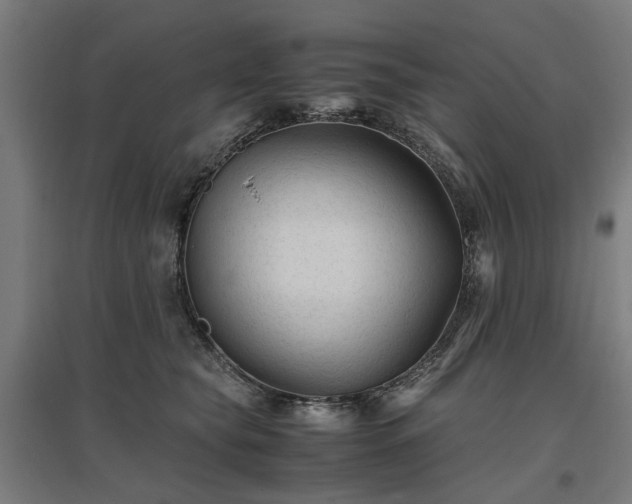 X0000096980565200802151333