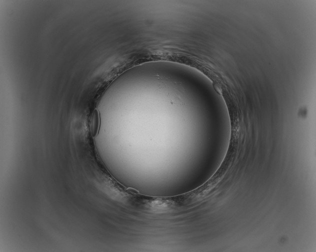 X0000096980566200802151333