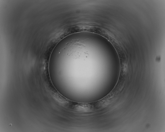 X0000096980567200802151333