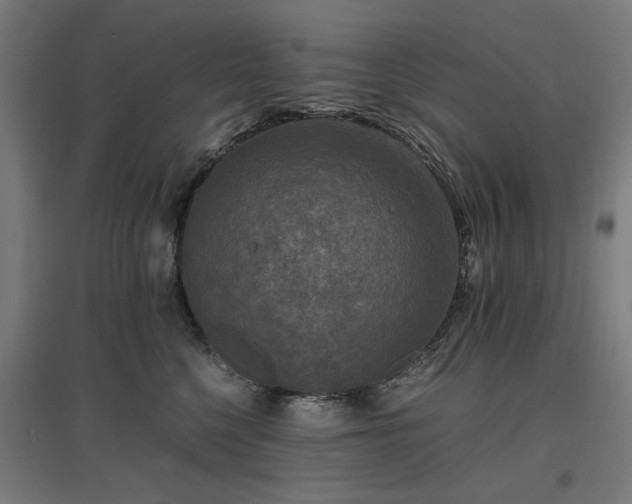 X0000096980568200802151333