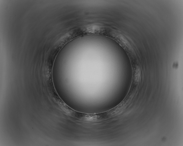 X0000096980569200802151333