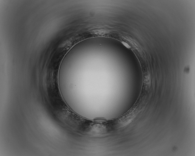 X0000096980572200802151333