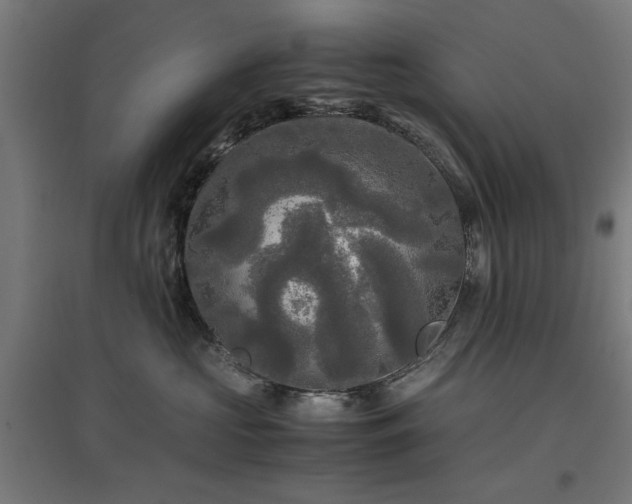 X0000096980573200802151333