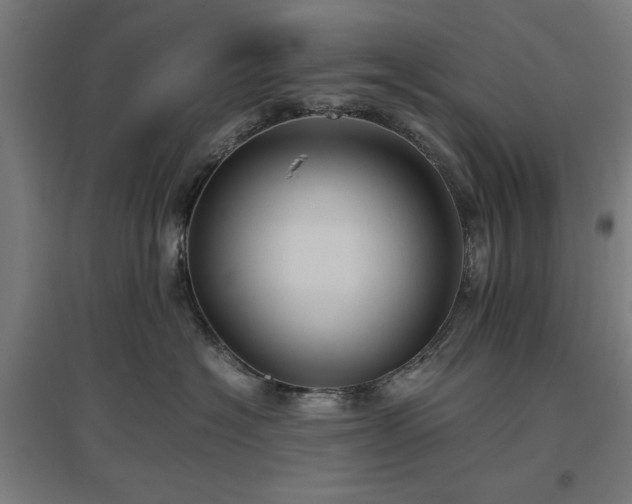 X0000096980574200802151333