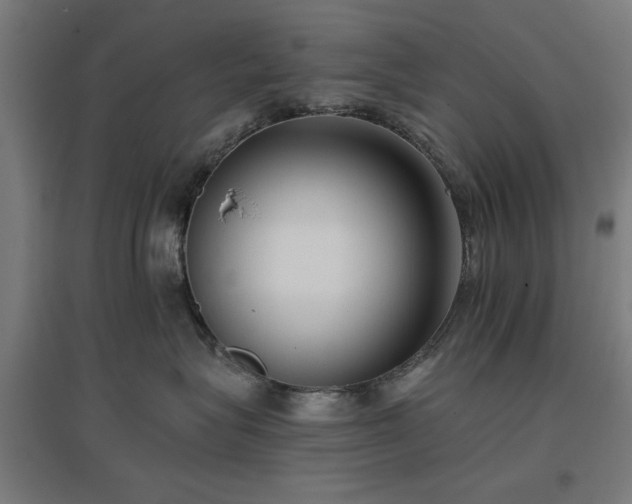 X0000096980575200802151333