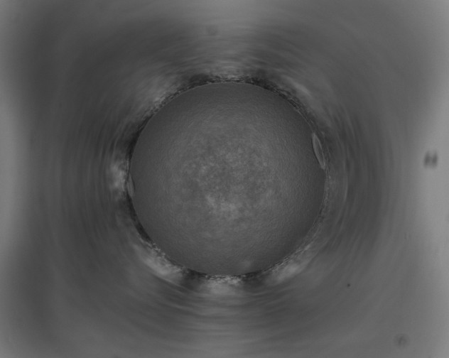 X0000096980576200802151333