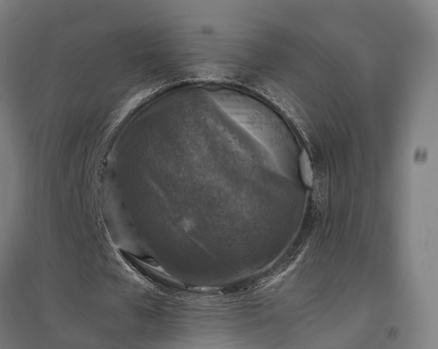 X0000096980577200802151332