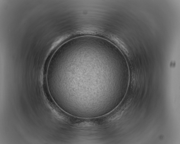 X0000096980578200802151332