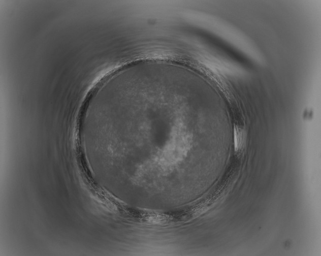 X0000096980579200802151332