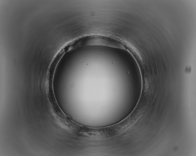 X0000096980580200802151332