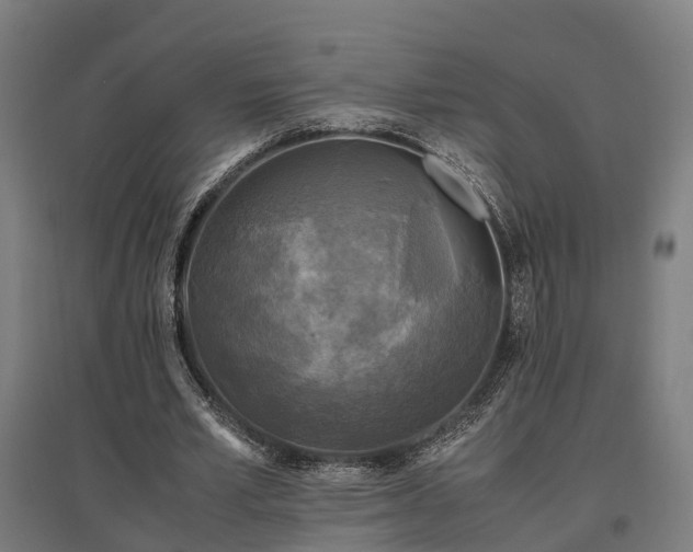 X0000096980581200802151332