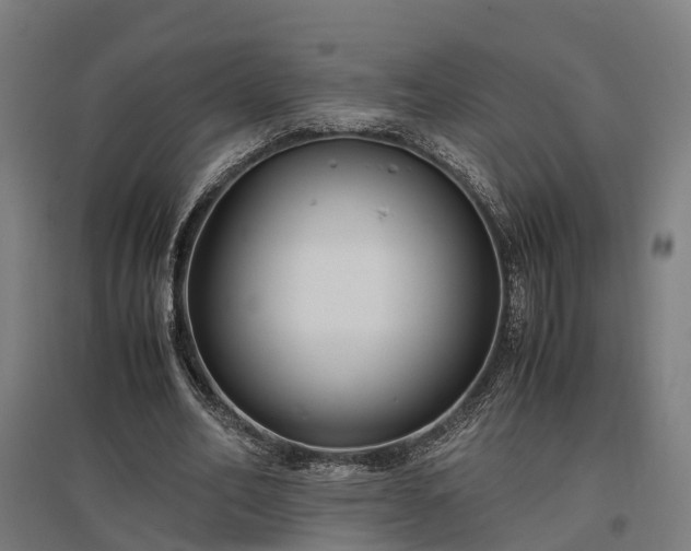 X0000096980582200802151332